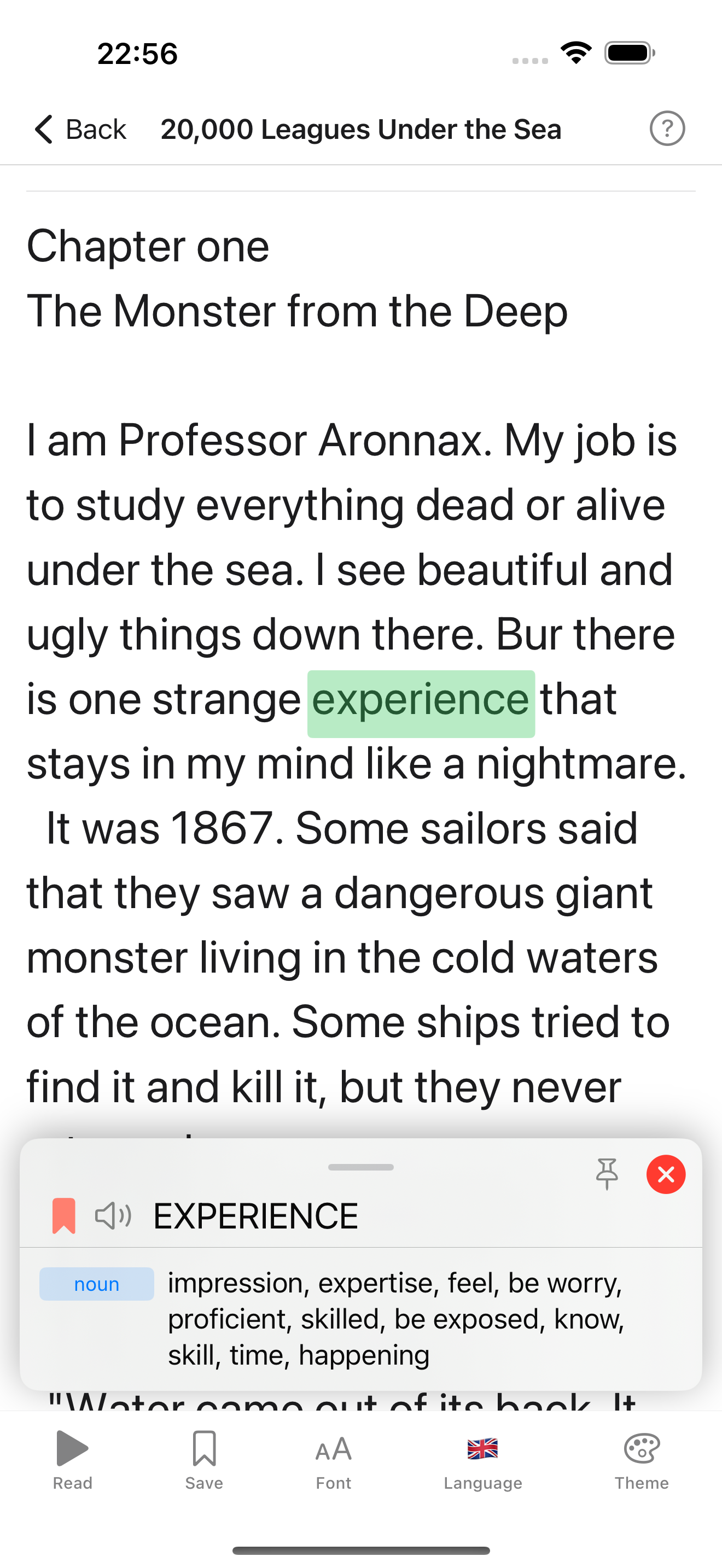 Reader with translation panel